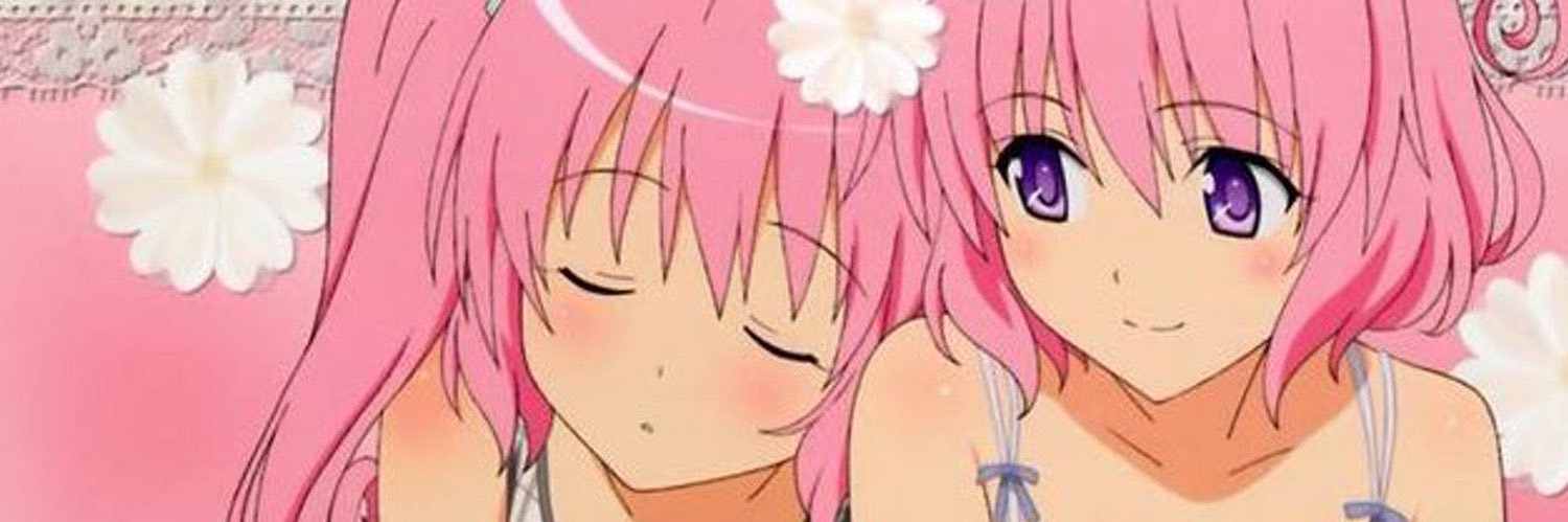 Z1N banner