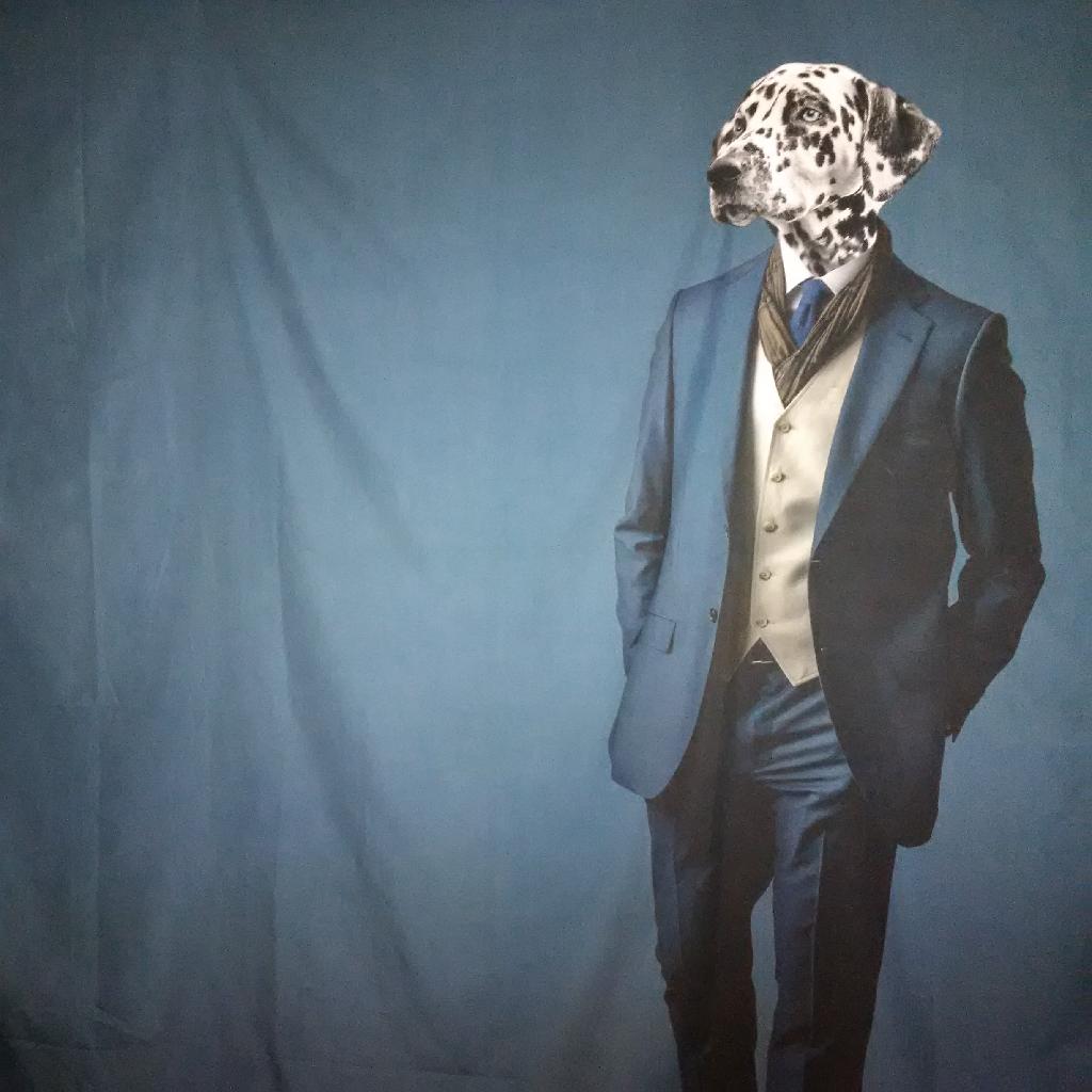 7dwrves's profile banner image