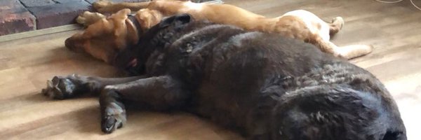 joshchambers97 Profile Banner