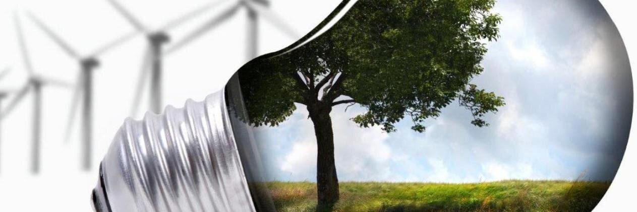 Council Review banner