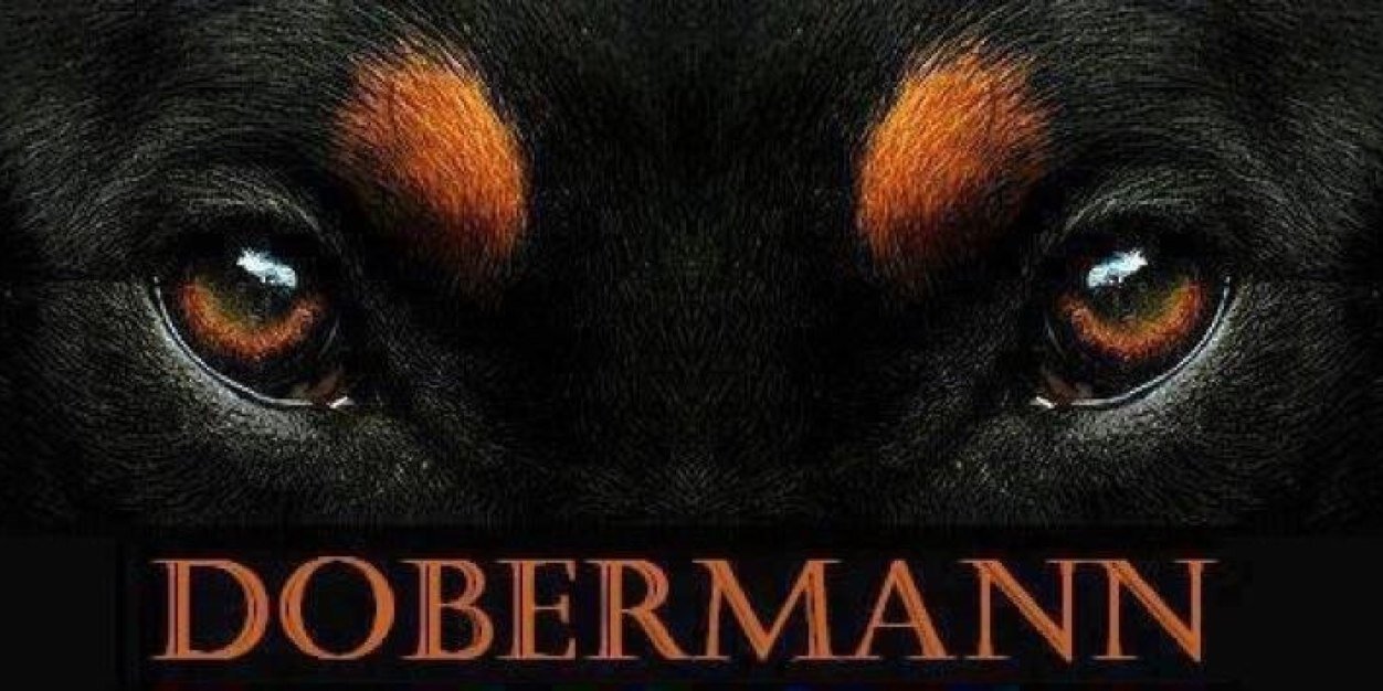 Dobermanfans's profile banner image