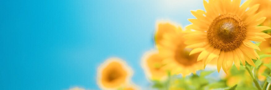 majhpmki's profile banner image