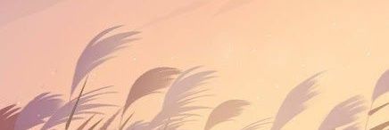ima🕊️ banner