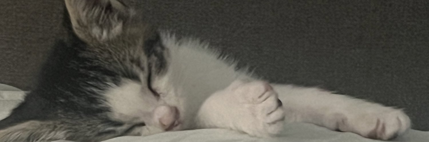 DaisyFlowers_13's profile banner image