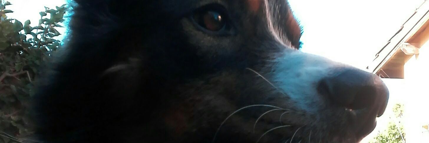 sabriscid's profile banner image