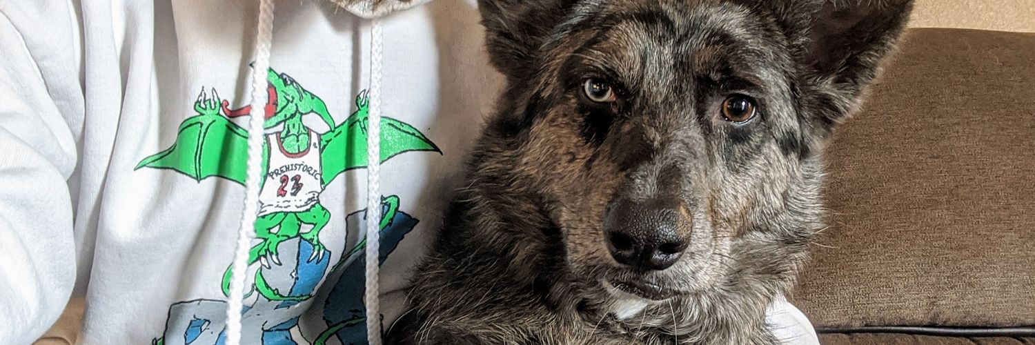 KdChad's profile banner image