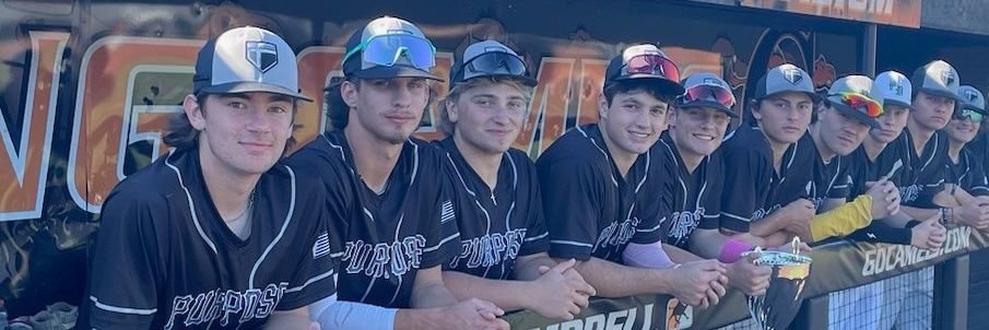 Pro 3:5 Prep Baseball banner