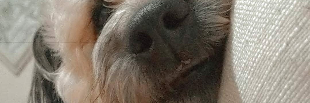 MillenaEmerick's profile banner image