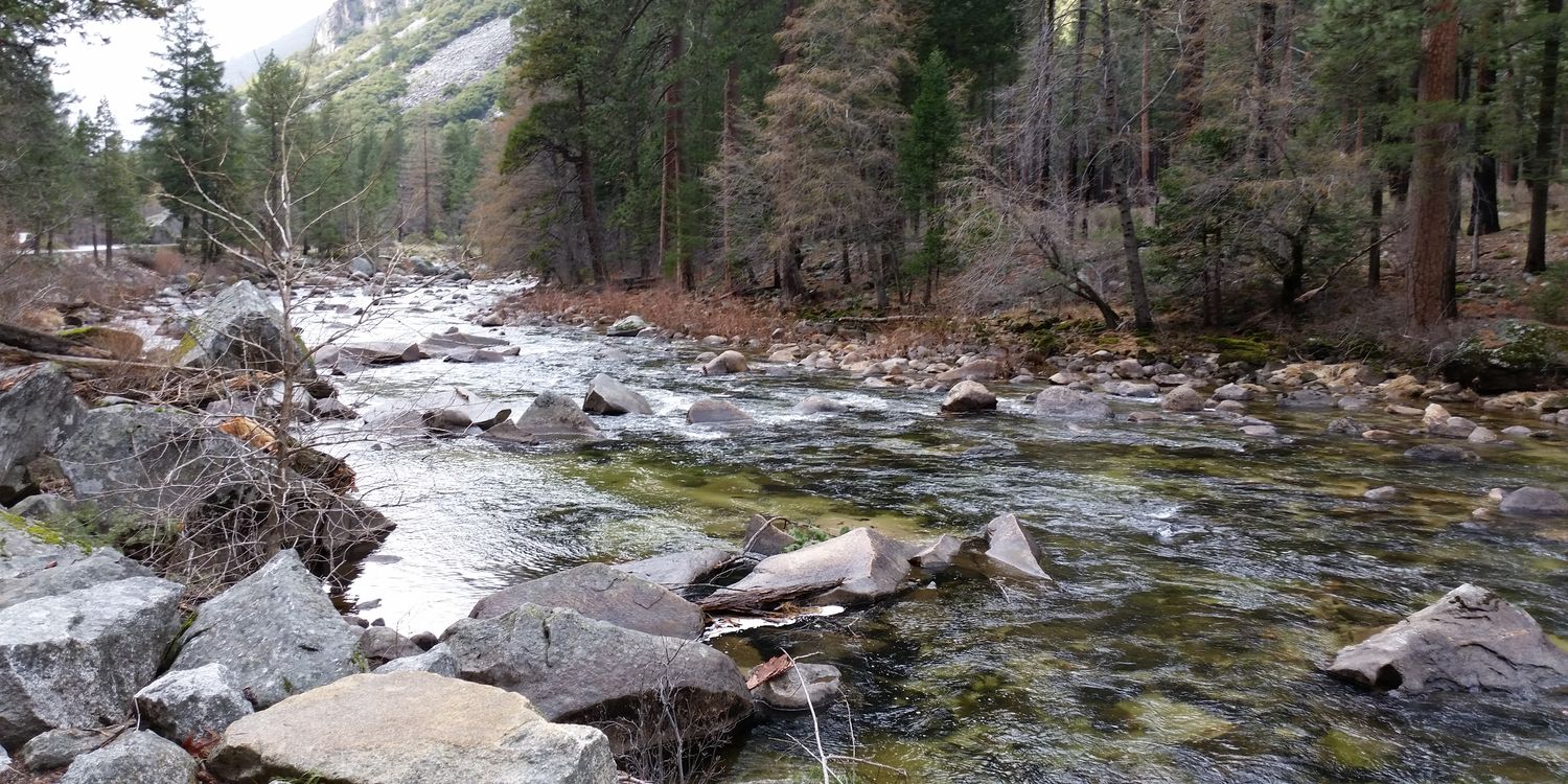 Lucky Denver Mint banner