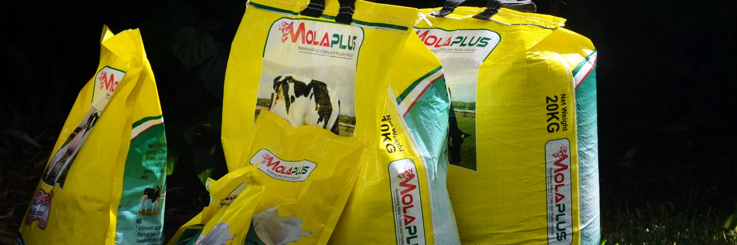 MolaplusM's profile banner image