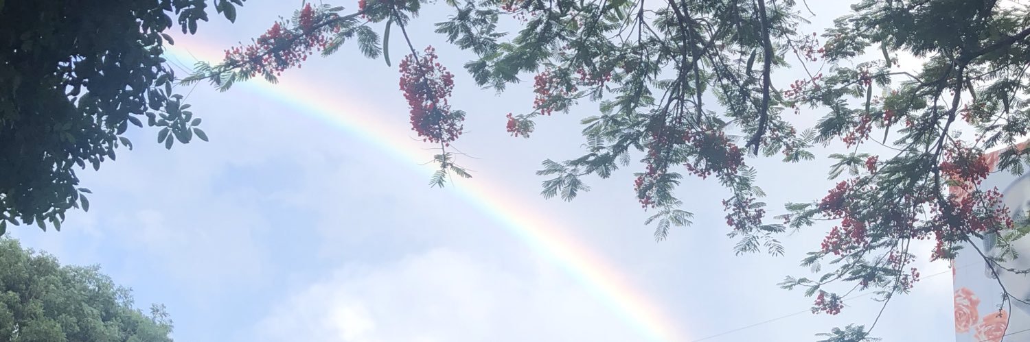 tinapascottini's profile banner image