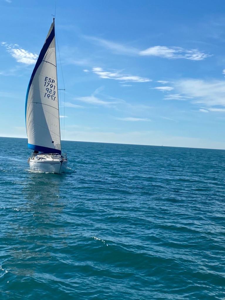 Laura Quinto banner