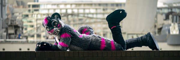 MeekoTooth Profile Banner