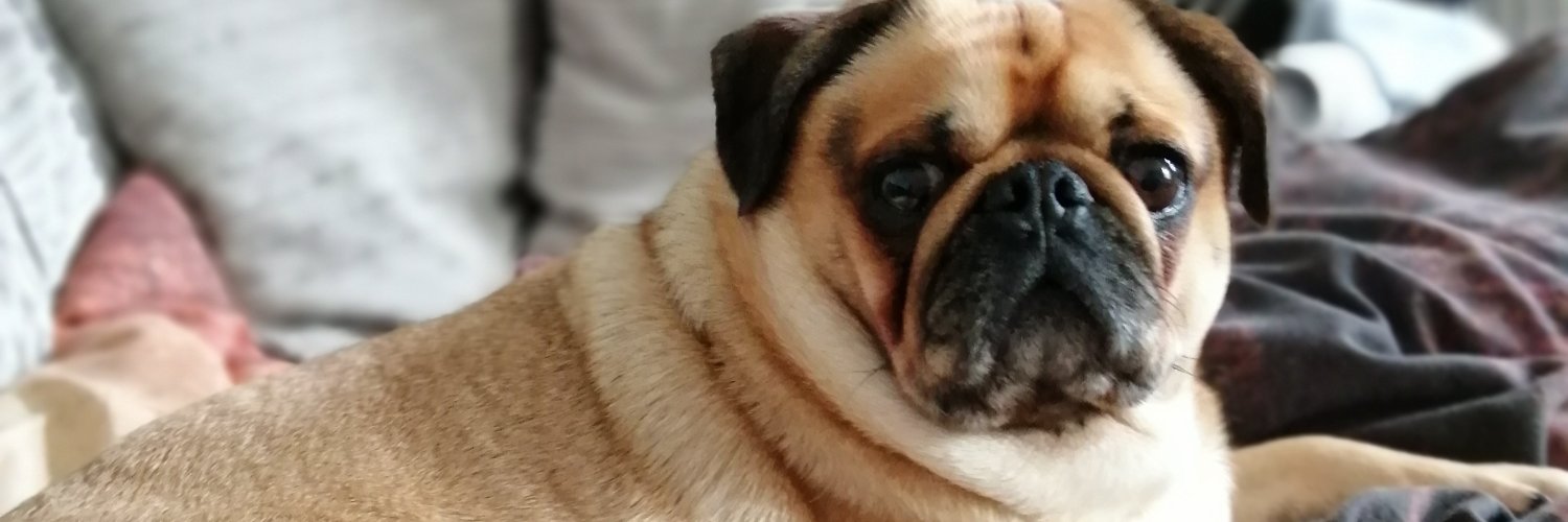 JayJay🇬🇧 banner