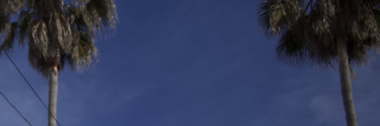 leesmitth's profile banner image