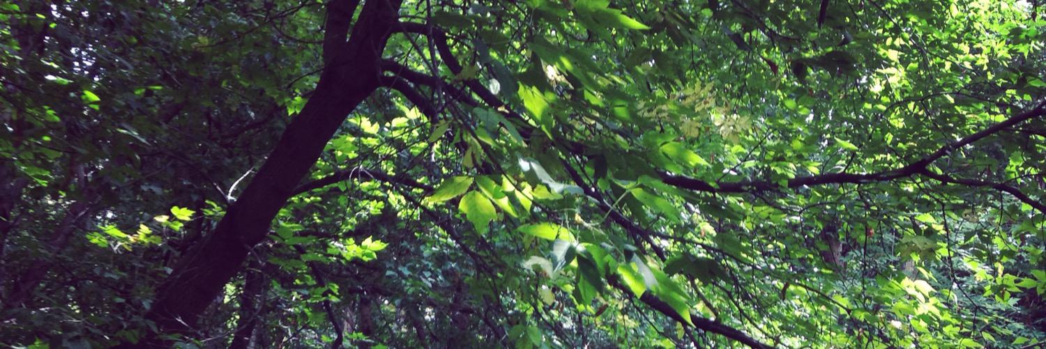 MacKec3's profile banner image