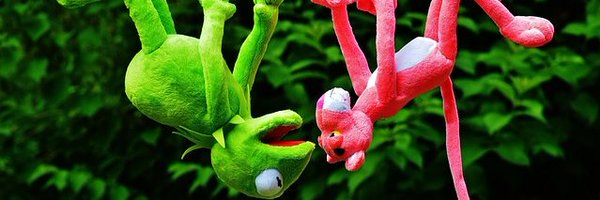 RhombusReport Profile Banner