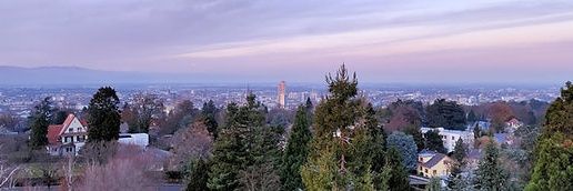 m_zitung's profile banner image
