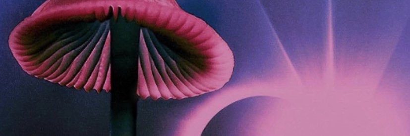 GraceColp's profile banner image