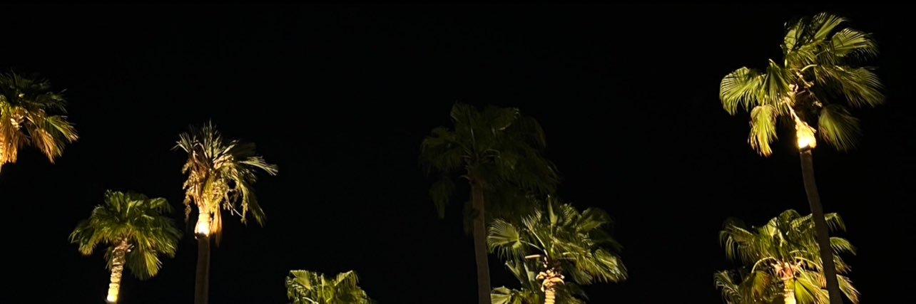 vrlilu's profile banner image