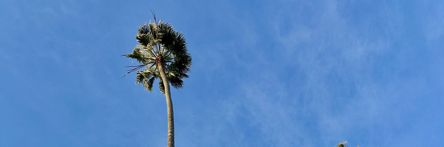 m0isabel's profile banner image