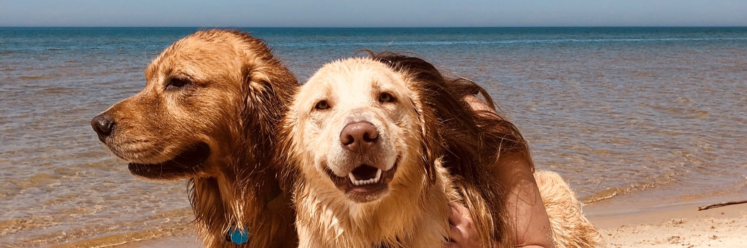 spicklemire10's profile banner image