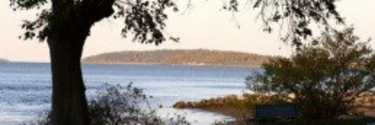 MerrymountAssoc's profile banner image