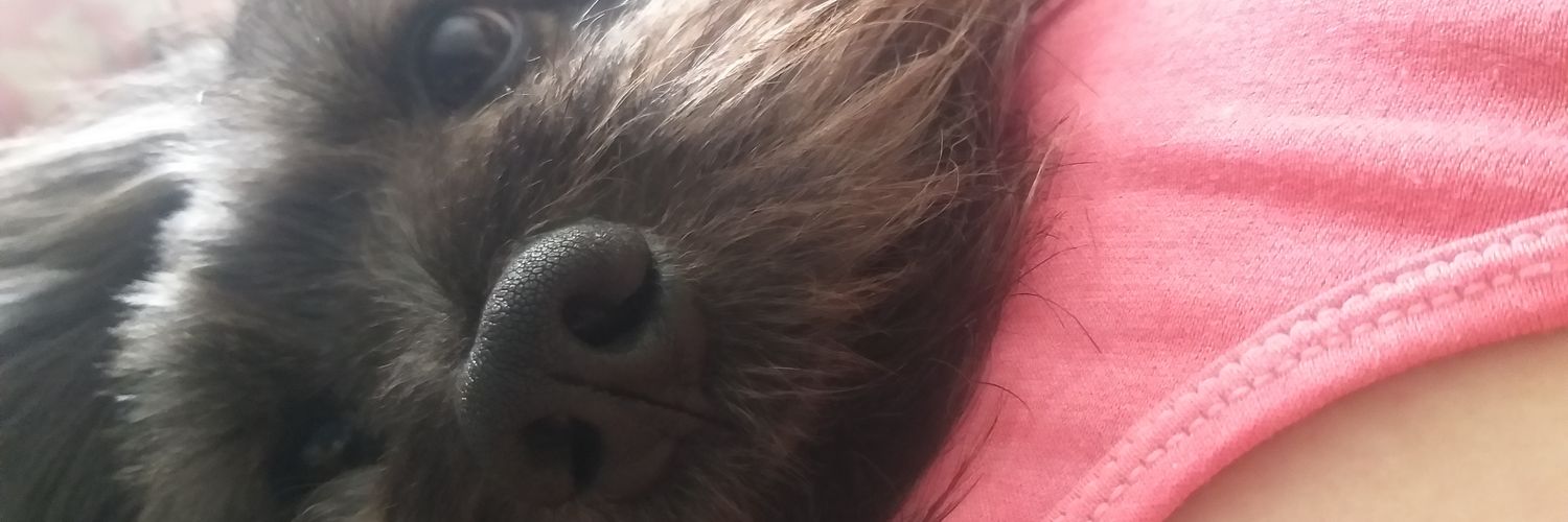 orianauricu's profile banner image