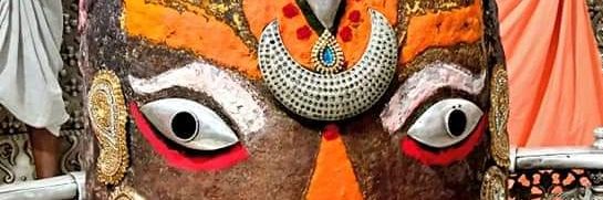 SHASHANK TRIVEDI banner