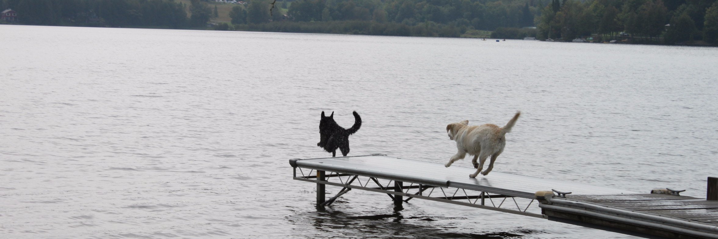 Marissa Wagner Mery banner