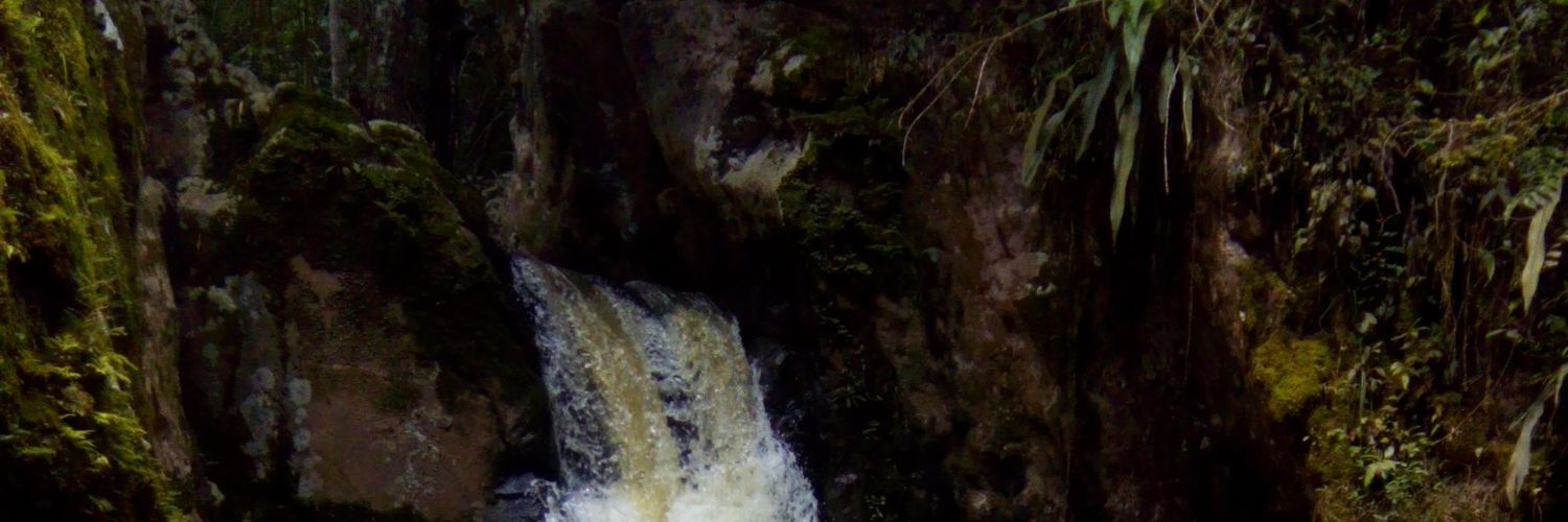 erikaflow06's profile banner image