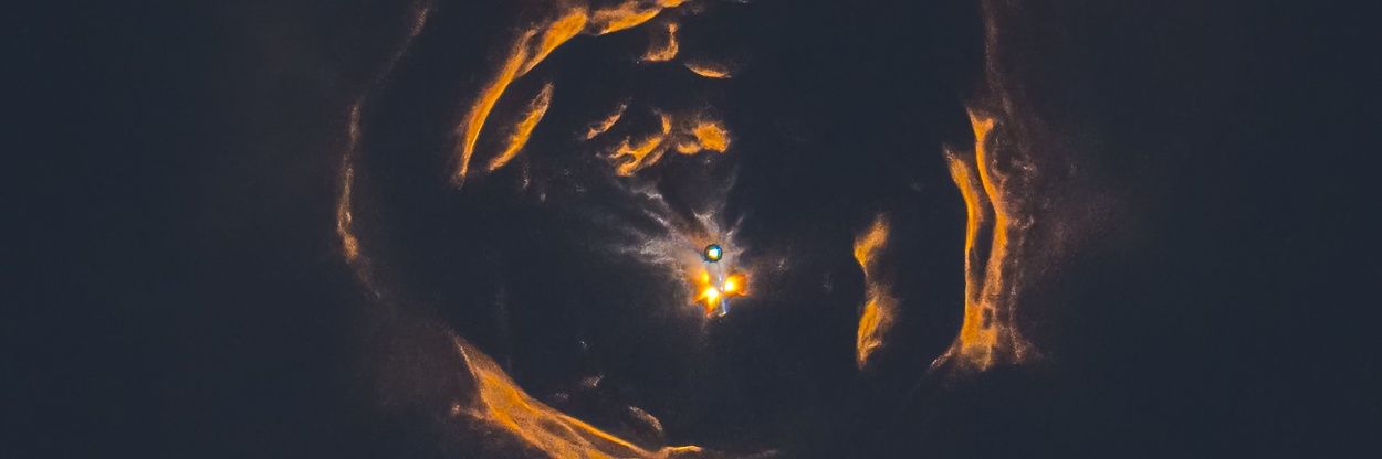 The Professional banner