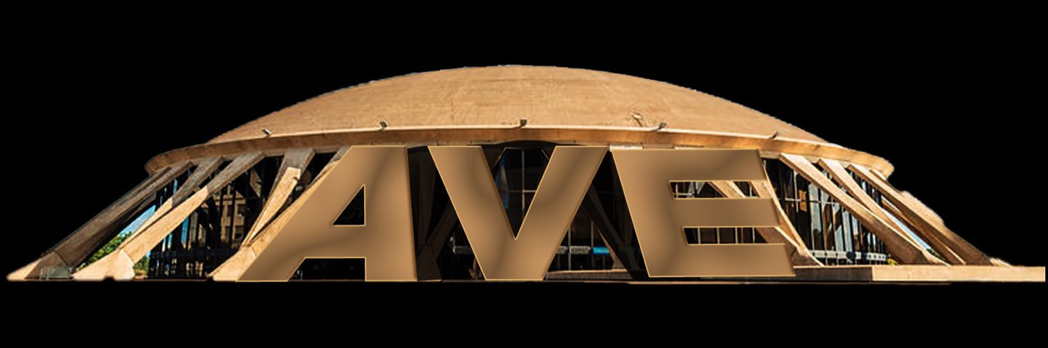 AVE 🦈's banner