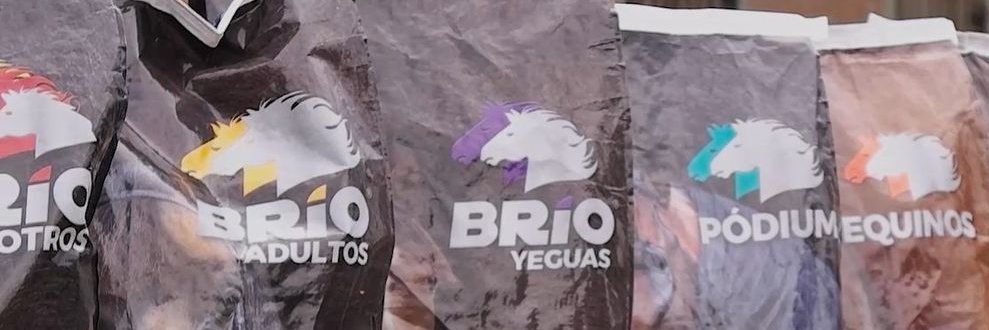 BRIOCOMUNIDAD's profile banner image