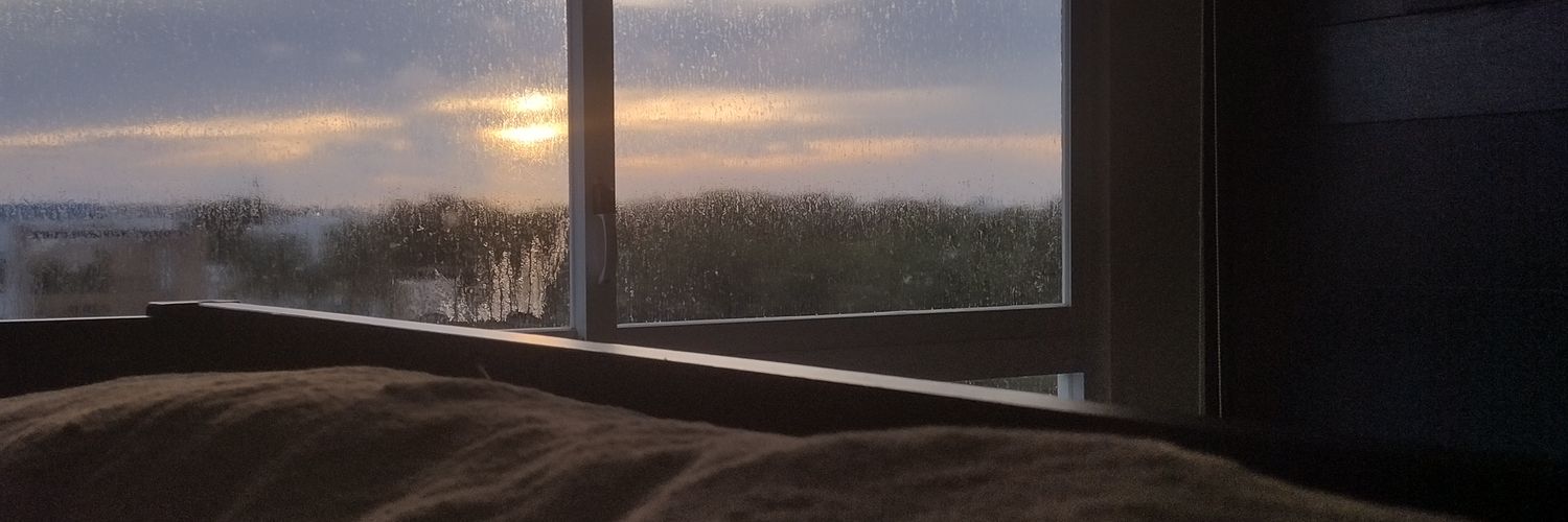 🦅 banner