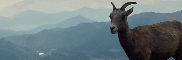 PureSignal777's profile banner image