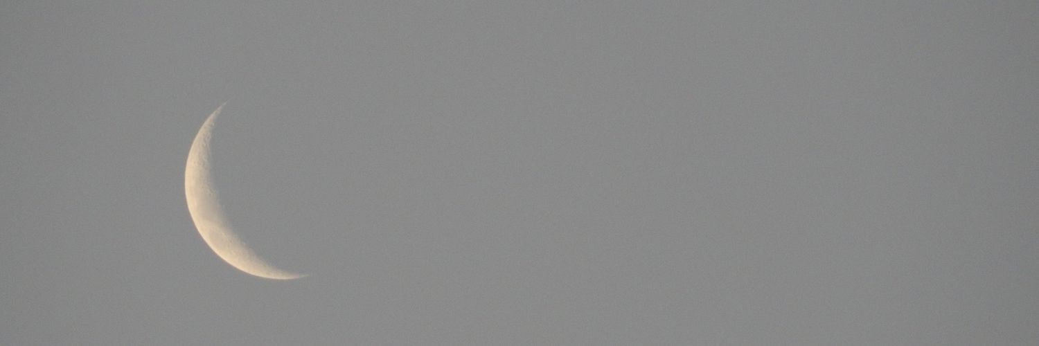 micaelajvv's profile banner image