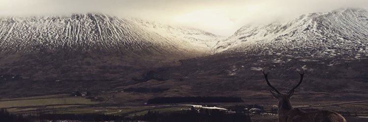 Luis Gonzalez banner