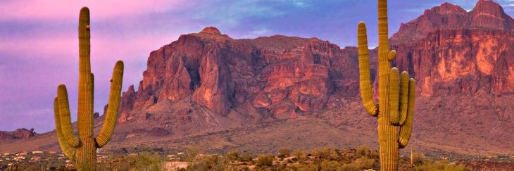 Nick Saunders banner