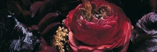 authorDomW's profile banner image