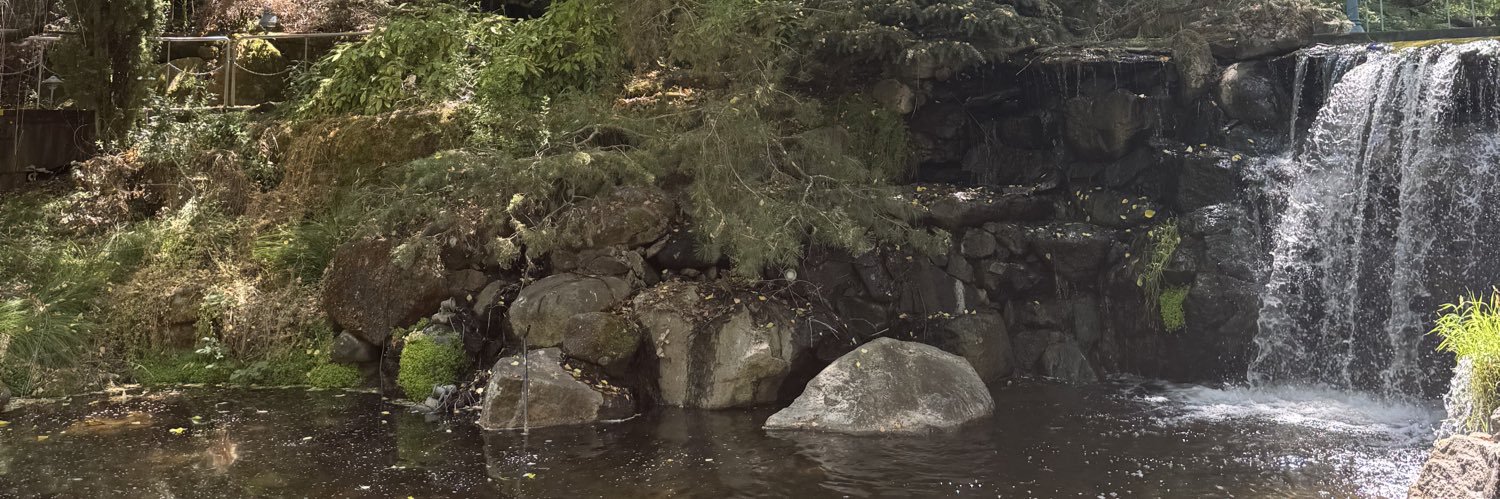 RossAcacia's profile banner image