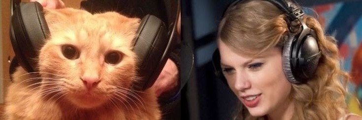 lacyproblems's profile banner image