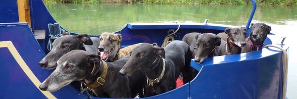 Indigodreamers Profile Banner