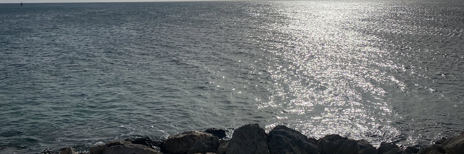 NoEditNeeded's profile banner image