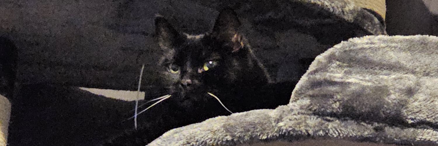 Ur_hell's profile banner image