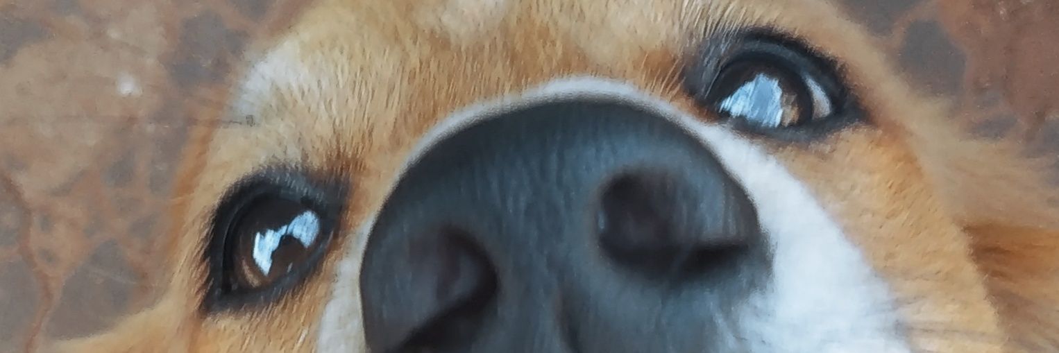 Narjilaaa's profile banner image