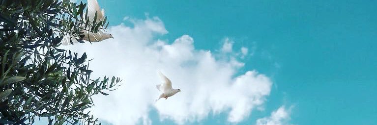 smile4ever22's profile banner image