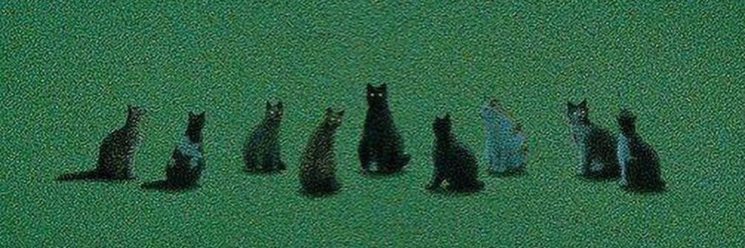 WolfLpez's profile banner image