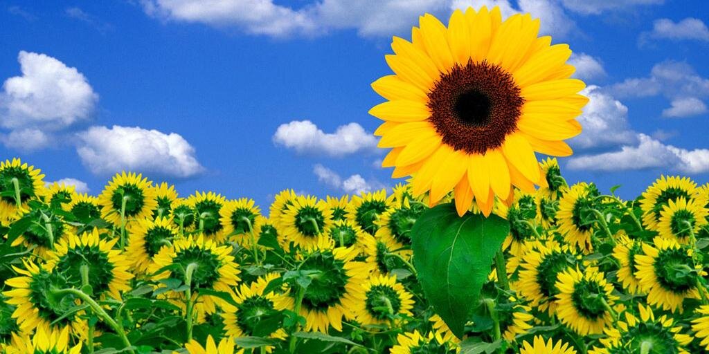 GD_KYura's profile banner image
