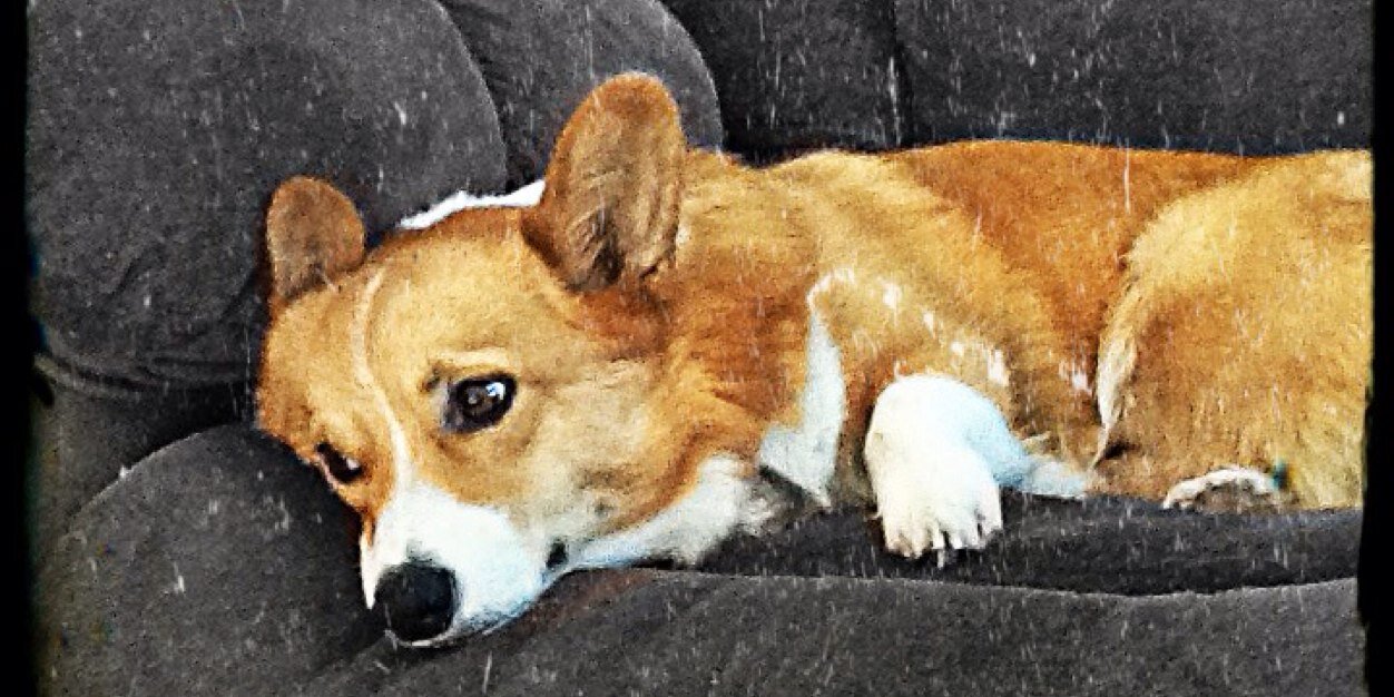 hugapumpkin's profile banner image